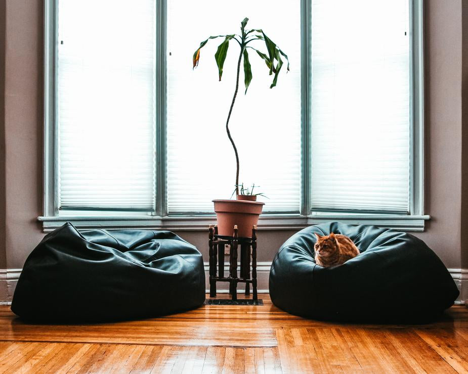 Black Beanbag new